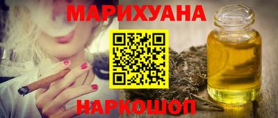 гашик Будённовск
