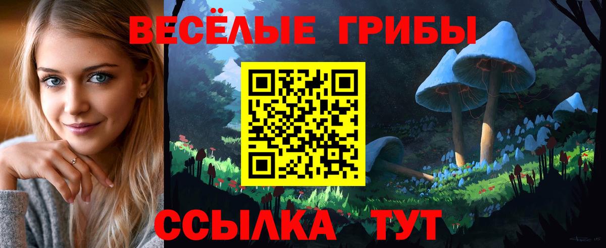 Родники  Псилоцибиновые грибы Magic Shrooms  Вход с VPN  Псилоцибиновые грибы MAGIC MUSHROOMS 