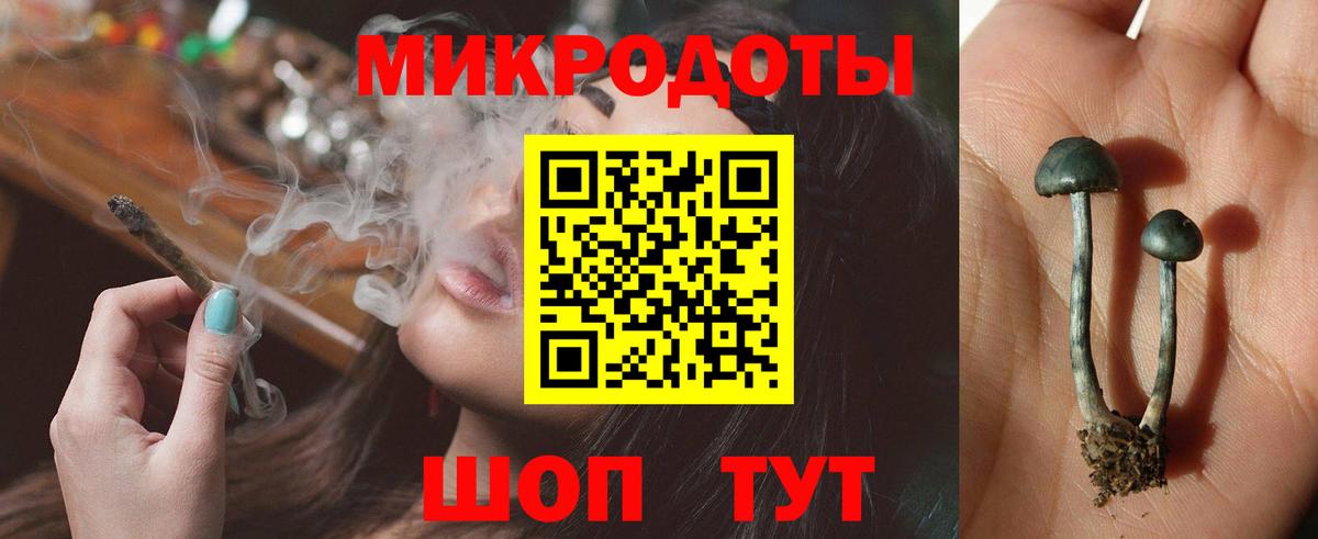 Псилоцибиновые грибы Magic Shrooms Родники